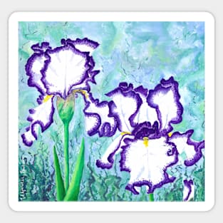 White Irises with Purple Border Sticker